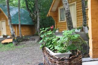 Шале Bungalows Prokletije Gusinje Улучшенное шале-11