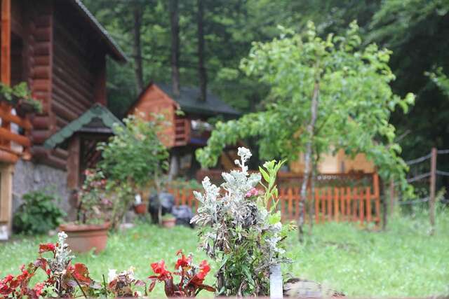 Шале Bungalows Prokletije Gusinje-34